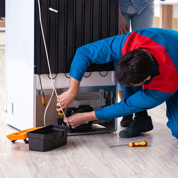 what are the common refrigerator repair services in Fairfax